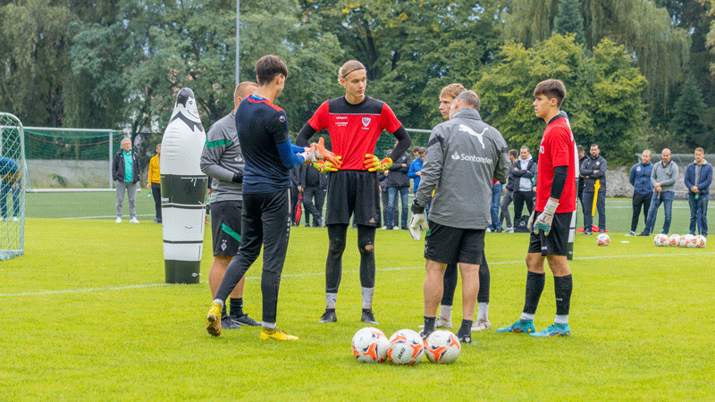 gladbach 19